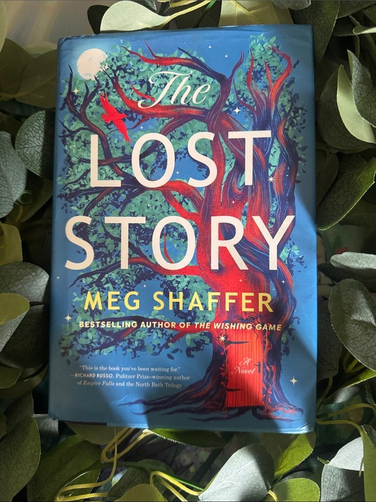 Other - The Lost Story by Meg Shaffer
